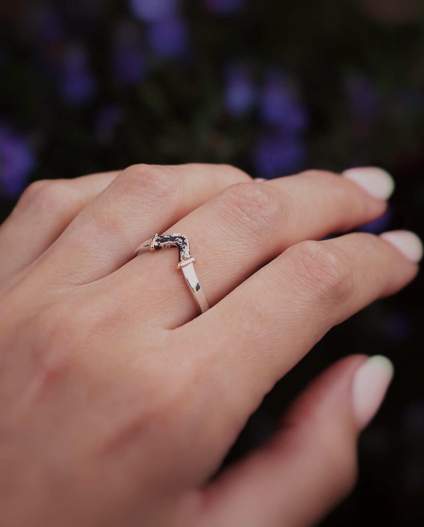 Nautilus | Sail ring
